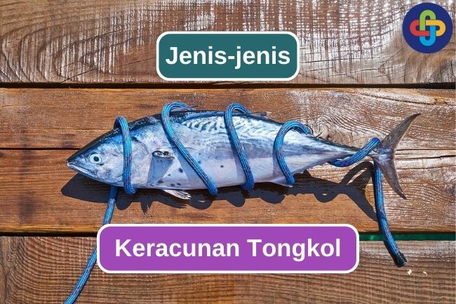 Keracunan Tongkol: Apa Penyebabnya dan Bagaimana Bisa Terjadi?